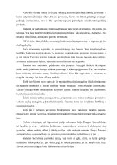 Laisvės samprata 6 puslapis