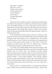 Laisvės samprata 9 puslapis