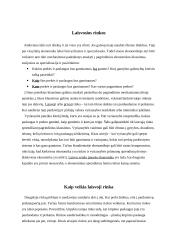 Laisvoji rinka ir pajamų pasiskirstymas Lietuvoje 4 puslapis