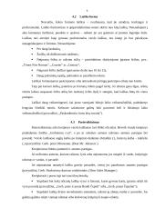 Laiškų rašymo stilius ir siuntimas 9 puslapis