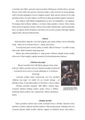 Leonardas da Vinčis ir Renesansas 6 puslapis