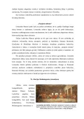 Leonardas da Vinčis ir Renesansas 8 puslapis