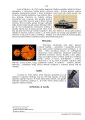 Leonardo da Vinči išradimai 6 puslapis