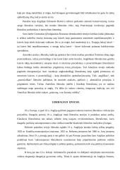 Liberalioji epocha 6 puslapis