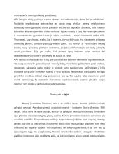 Lyčių lygios galimybės. Moterų padėtis visuomenėje 11 puslapis