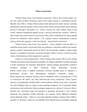 Lyčių lygios galimybės. Moterų padėtis visuomenėje 13 puslapis