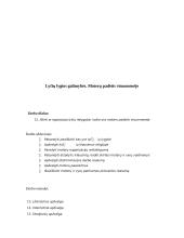 Lyčių lygios galimybės. Moterų padėtis visuomenėje 3 puslapis