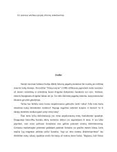 Lyčių lygios galimybės. Moterų padėtis visuomenėje 4 puslapis