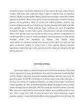 Lyčių lygios galimybės. Moterų padėtis visuomenėje 5 puslapis