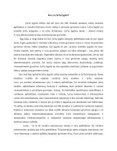 Lyčių lygios galimybės. Moterų padėtis visuomenėje 9 puslapis