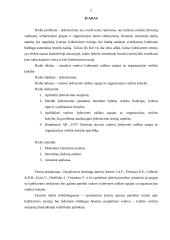 Lyderiavimas ir lyderiavimo teorija 2 puslapis