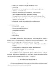 Lyderiavimas ir lyderiavimo teorija 13 puslapis