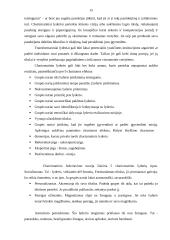 Lyderiavimas ir lyderiavimo teorija 15 puslapis