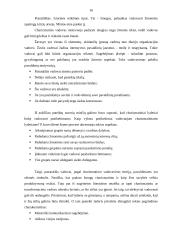 Lyderiavimas ir lyderiavimo teorija 16 puslapis