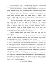 Lyderiavimas ir lyderiavimo teorija 18 puslapis