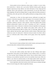 Lyderiavimas ir lyderiavimo teorija 4 puslapis