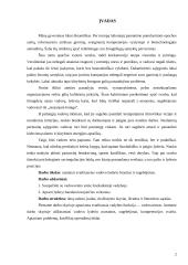 Lyderio charakteristika 2 puslapis