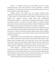 Lyderio charakteristika 11 puslapis