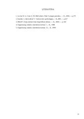 Lyderio charakteristika 13 puslapis