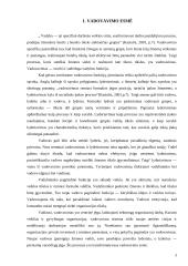 Lyderio charakteristika 3 puslapis