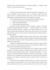 Lyderio charakteristika 7 puslapis