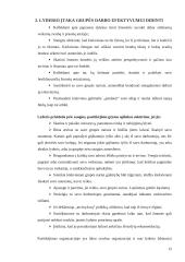 Lyderio įtaka darbo efektyvumui didinti 11 puslapis