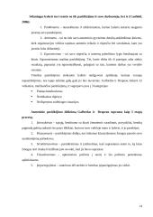 Lyderio įtaka darbo efektyvumui didinti 13 puslapis