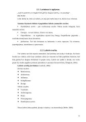 Lyderio įtaka darbo efektyvumui didinti 14 puslapis