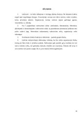 Lyderio įtaka darbo efektyvumui didinti 17 puslapis