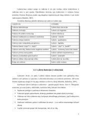 Lyderio įtaka darbo efektyvumui didinti 4 puslapis