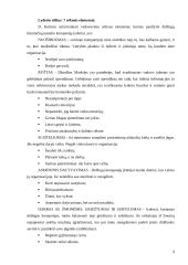 Lyderio įtaka darbo efektyvumui didinti 8 puslapis