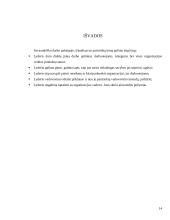 Lyderio vaidmuo organizacijose 13 puslapis