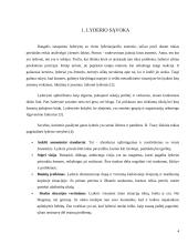 Lyderio vaidmuo organizacijose 3 puslapis
