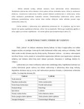 Lyderio vaidmuo organizacijose 5 puslapis