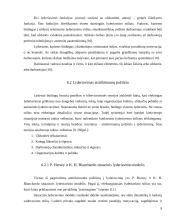 Lyderio vaidmuo organizacijose 8 puslapis