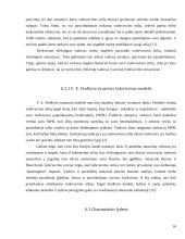 Lyderio vaidmuo organizacijose 9 puslapis
