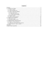 Lyderis ir organizacija 2 puslapis