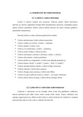 Lyderis ir organizacija 17 puslapis