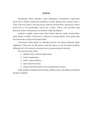Lyderis ir organizacija 3 puslapis