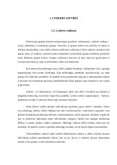 Lyderis ir organizacija 4 puslapis