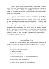 Lyderis ir organizacija 5 puslapis