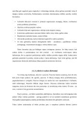 Lyderis ir organizacija 10 puslapis