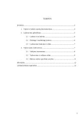 Lyderis organizacijoje 2 puslapis