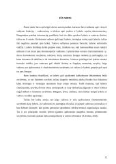 Lyderis organizacijoje 12 puslapis