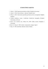 Lyderis organizacijoje 13 puslapis