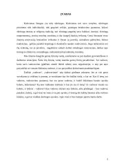 Lyderis organizacijoje 3 puslapis