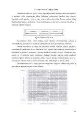 Lyderis organizacijoje 10 puslapis