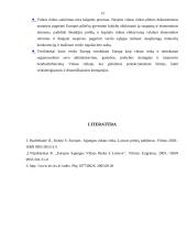 Lietuva Europos Sąjungos (ES) narė 13 puslapis