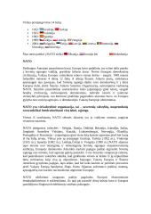 Lietuvos ir NATO santykis 2 puslapis