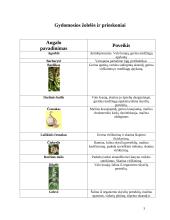 Lietuvių liaudies medicina 3 puslapis